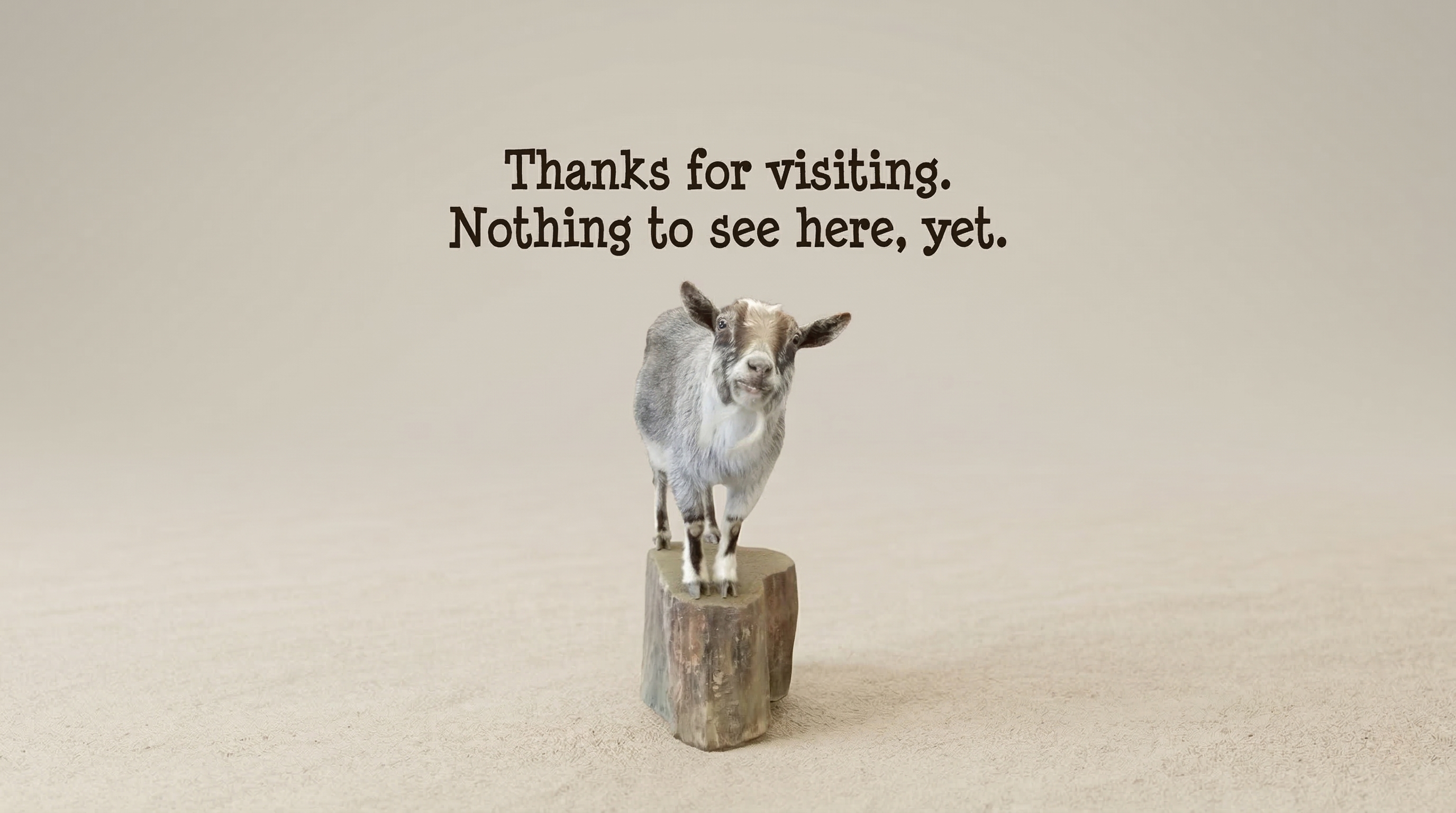 Goat on a stump - Nothing to see here yet